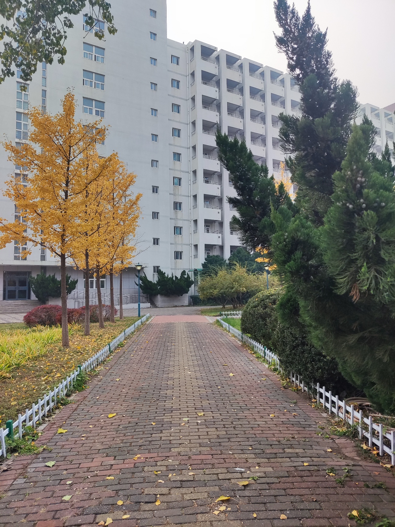 中国人民大学校园 图2